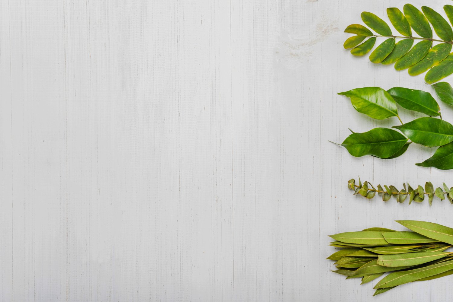 Alluring Herbals